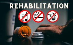 0d831c43-e7e8-40bf-8a65-7d4ab4f98335.__CR0,0,2021,1250_PT0_SX970_V1___